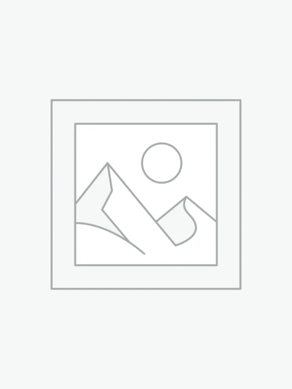 Elegant Modern Wall Art